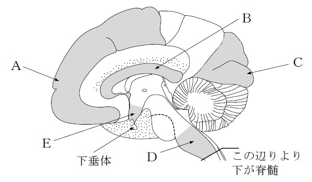 問23図